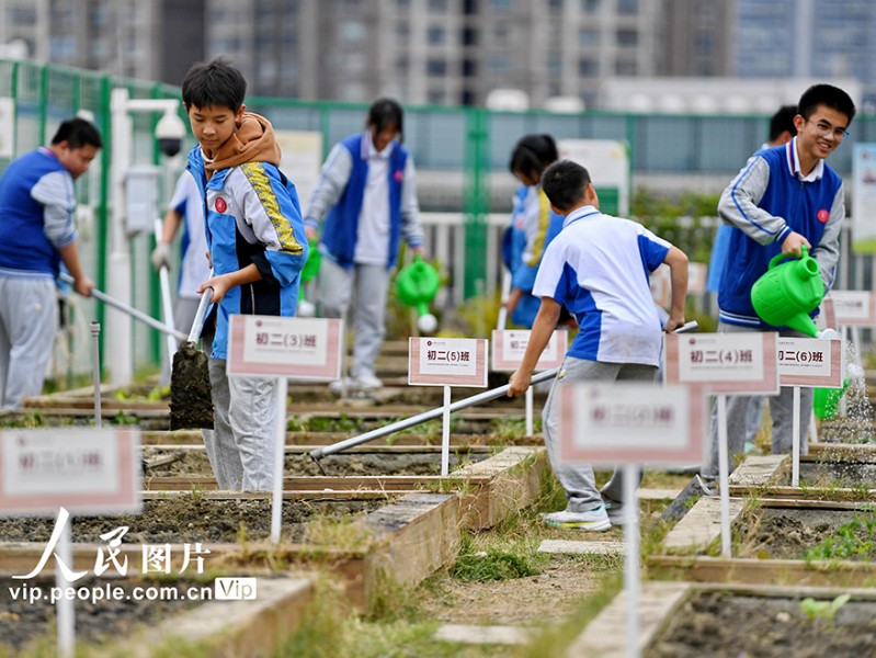 一双巧手“玩”出未来：初中劳动与技术课竟能这么嗨