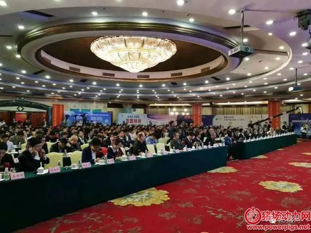 养猪场里没神仙，这个技术场长专治“想当然”