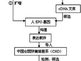 冶金仪器分析技术咋整？咱们唠唠实用窍门