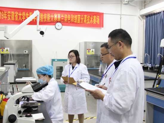 医学检验技术的殿堂：这些医学院校让你成为医疗界的“侦察兵”