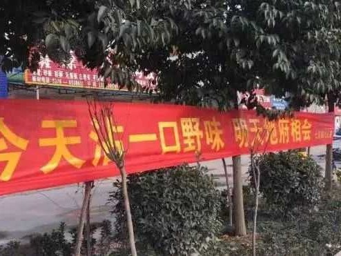 技术任务横幅口号的魔法：让每个字都成为团队的“冲锋号”
