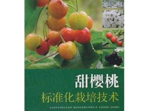 南美红宝石的养成秘籍：巴西甜樱桃种植全攻略
