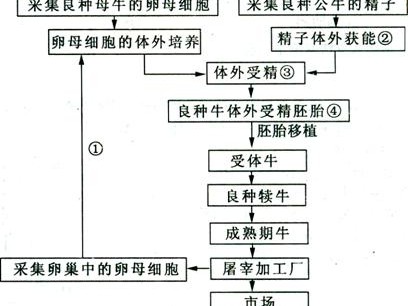 刮痧这门老手艺，里头讲究可不少