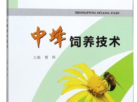 中蜂养殖别只会瞎忙活，这几点土办法真能帮你多收蜜