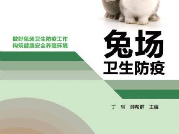兔子防疫技术全指南：让你的小宝贝健康无忧