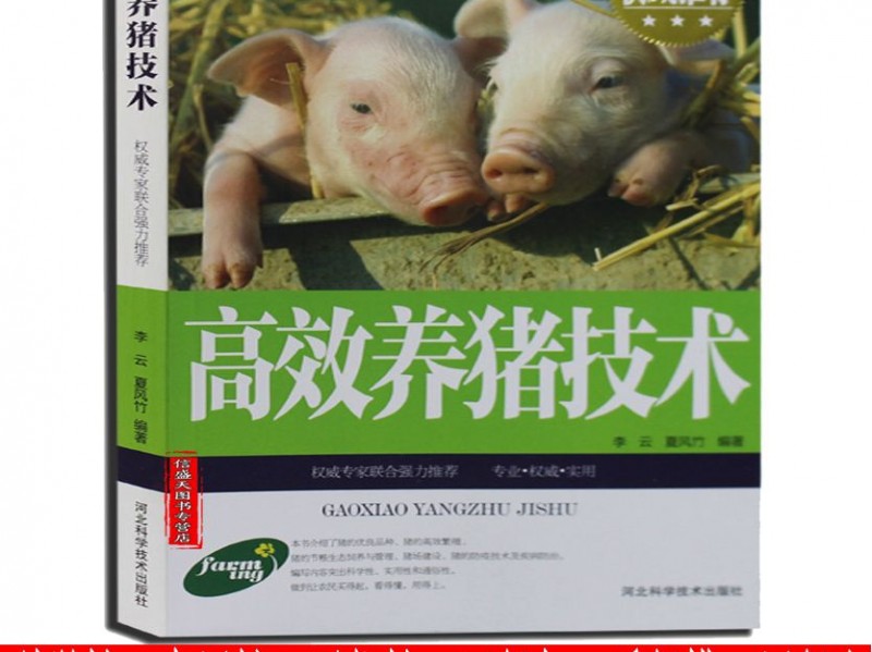 养猪不想打工？学技术养猪把“老把式”换成“数据脑”