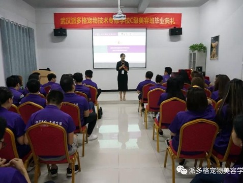 多因技术班整理内容大揭秘，让你学技术不再走弯路